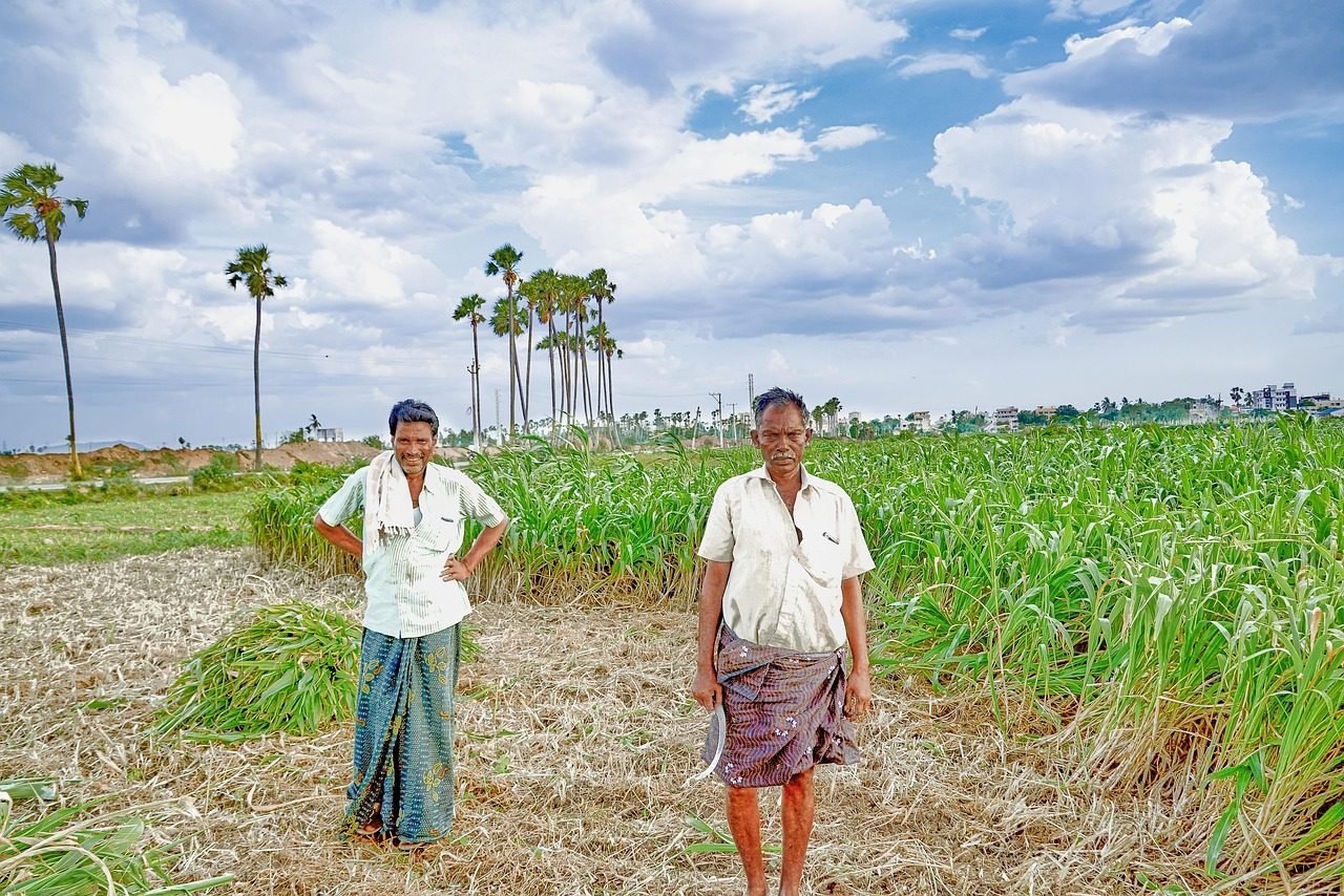 Rural Development