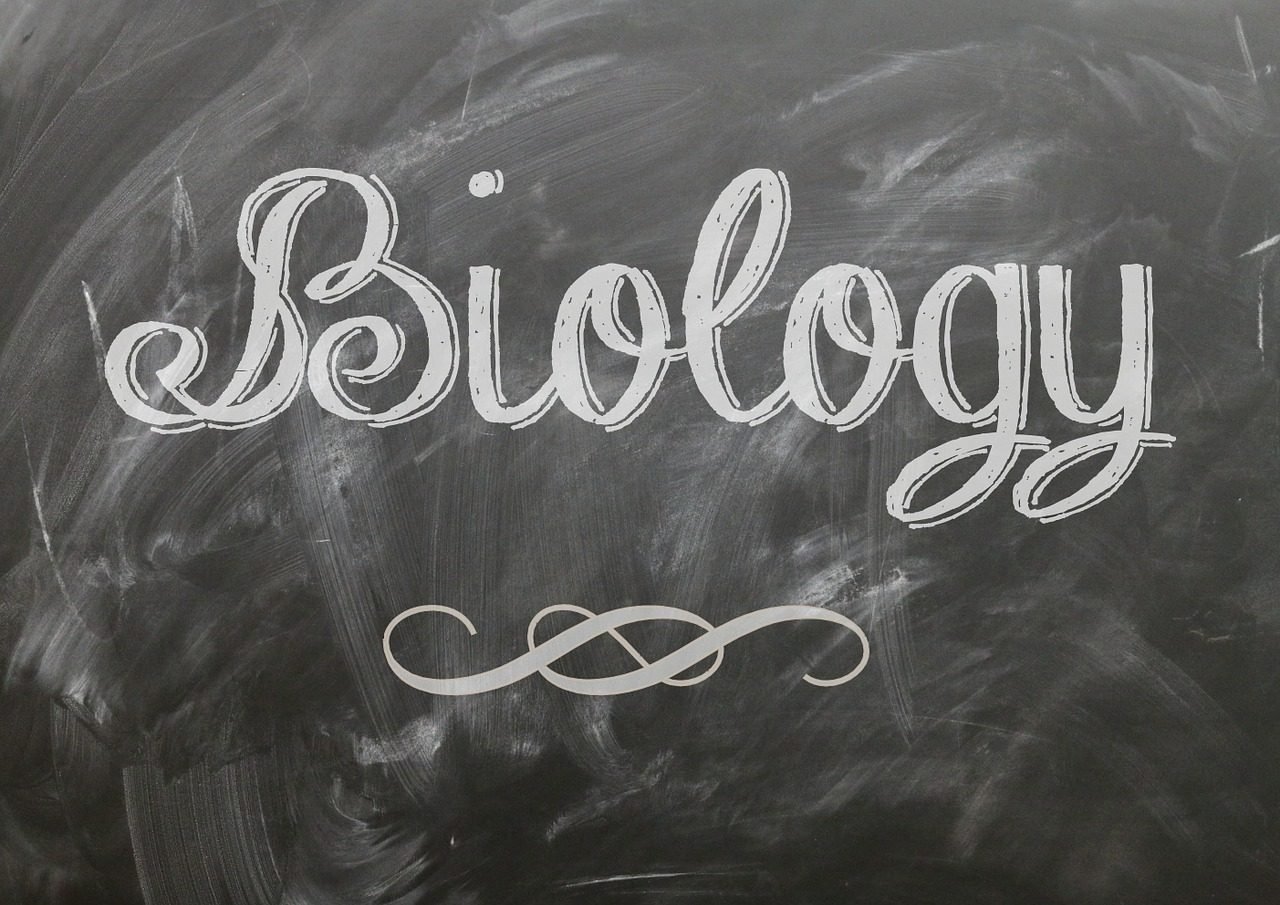 Science & Technology